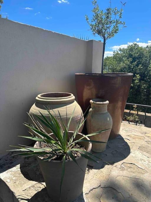 Sous Le « Figuier » Villa Cornillon-Confoux Dış mekan fotoğraf